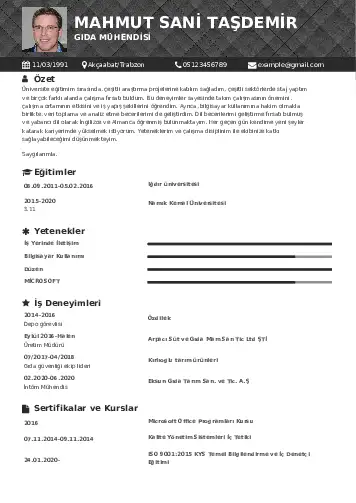 Gıda Mühendisi CV Örnekleri cv indir